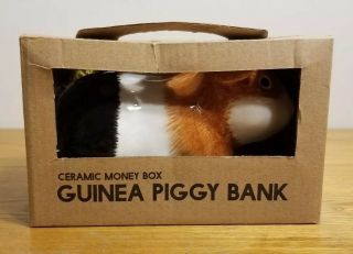 Ceramic Money Box Guinea Piggy Bank Box 51 Paladone Products