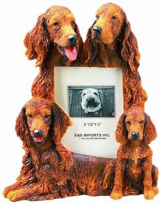 Irish Setter Gift Picture Frame Holds Your Favorite 3x5 Inch Photo,  A Hand Irish