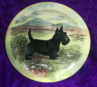 Vintage Royal Doulton Black Scottie Dog Scottish Terrier Plate 10 - 1/4 " England