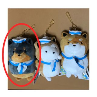 Tarushiba Shiba Inu Dog Plush Stuffed Animal Toy Toreba Sega Taito Ufo Catcher
