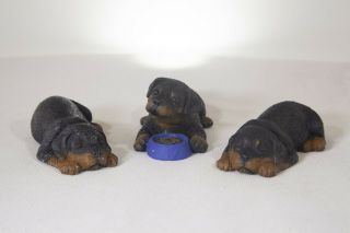 Rottweiler Puppies Vintage Sandra Brue Signature Sandicast Rotty Figurines