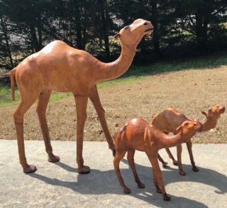 3 Large Vintage Leather Wrapped Camel Figurines Mamma 25.  5” Babies 13”