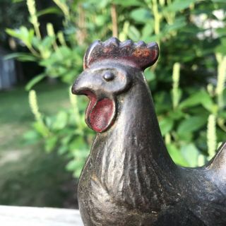 Antique A.  C.  Williams Cast Iron Penny Still Bank Rooster Chicken 5