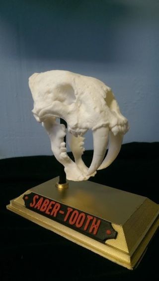 3d Printed Saber - Toothed Cat Skull - Base And Nametag