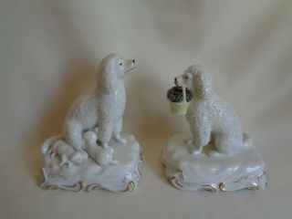 Vintage Italy Pottery Poodle Figurines Set