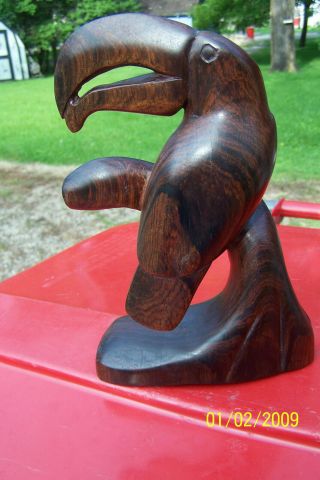 Ironwood Toucan Carving Sculpture Bird Figurine