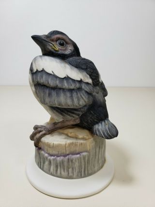 Vintage Boehm Porcelain Fledgling Magpie 476 L Bird Figurine Made In Usa