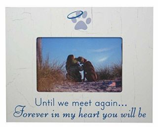 Dog Memorial Picture Frame: Until We Meet Again.  Forever In My Heart You Will