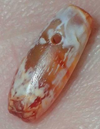10.  5mm Ancient Syrian Etched Carnelian Agate Pendant Bead,  4000,  Years Old,  S1077