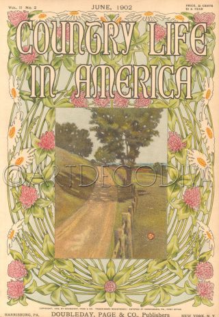 Antique 1902 Art Nouveau Arts & Crafts Daisy Clover Flower Landscape Cover Art