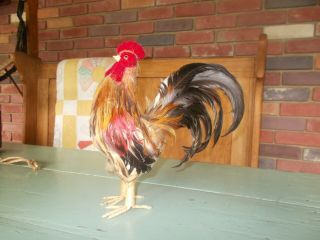 Vintage Chicken Rooster Hen Real Feathers