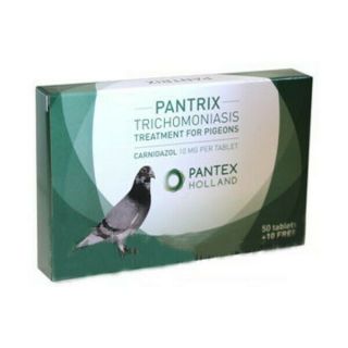 Pigeon Product - Spartrix - Pantrix 60 Tablets - Canker - By Pantex