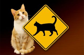 Cat Crossing - Pet Safety Sign - Metal Warning Placard - Fun Kitty Cat Decor