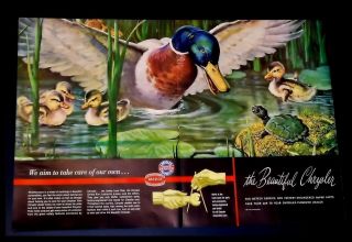 Vintage 1948 Chrysler Mopar Duck Ducklings Turtle Art By J.  Clymer Two - Page Ad
