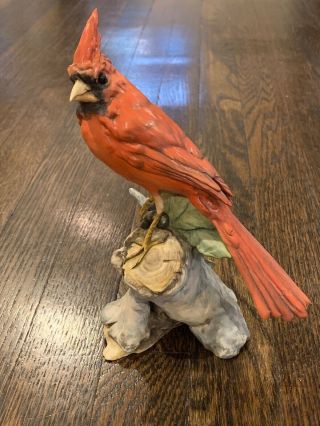Tay Italy Porcelain Bird - Giuseppe Tagliariol - Cardinal