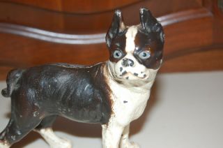 Cast Iron " Boston Bull Terrier " Still Bank Made By Vindex Toys