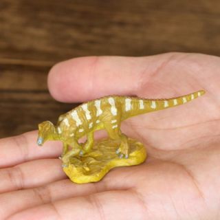 Favorite Koshisaurus Dinosaur Mini Model Figure Designed By Kazunari Araki F/s