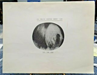 Old English Sheepdog Owners Club (canada) Year Book - First Issue