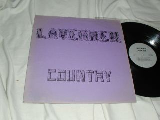 Lavender Country S/t (1973) Lp Private Folk Gay Lesbian Outsider Rare