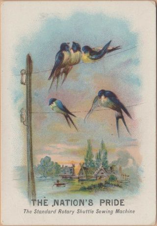 Victorian Trade Card - Standard Sewing Machine Co - Pendleton,  Or - Bluebirds