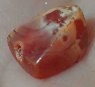 7mm Ancient Syrian Etched Carnelian Agate Bead,  4000,  Years Old,  S1017