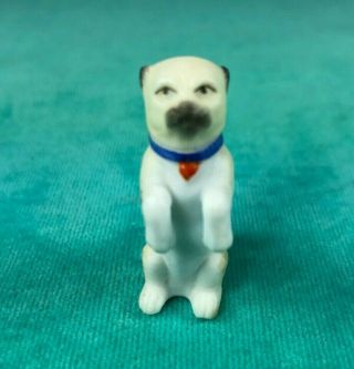 Antique Bisque Porcelain Miniature Pug Dog Figurine In Begging Pose,  Lovely