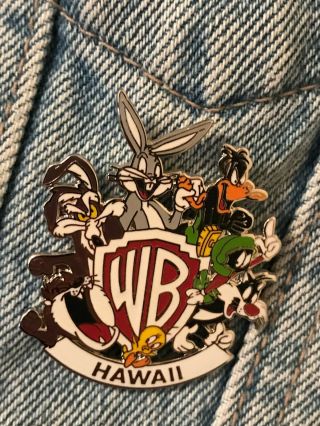 Vintage 1997 Looney Tunes Warner Brothers Hawaii Pin