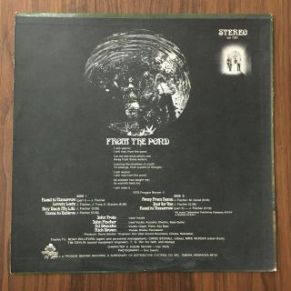 FROGGIE BEAVER From The Pond1973 Psych Prog Rock Froggie Beaver Records LP 2