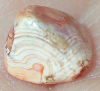 7mm Ancient Syrian Etched Carnelian Agate Bead,  4000,  Years Old,  S941