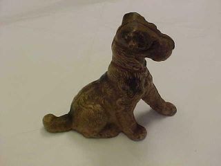 Hubley Wire Haired Terrier Still Bank Circa 1910 - 1920 Exc For Age