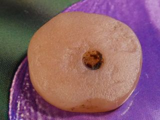 Ancient Pre - Columbian Tairona Light Orange Agate Disc Bead 18.  2 By 5.  8 Mm