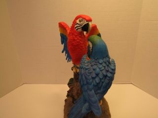 Tropical Rainforest Paradise Birds 2 Macaw Parrots Perching On Branch Statue 3