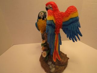 Tropical Rainforest Paradise Birds 2 Macaw Parrots Perching On Branch Statue 5