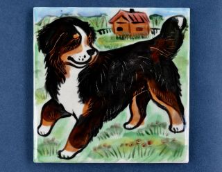 Bernese Mountain Dog.  Handpainted Ceramic Tile.  Ooak.  Look