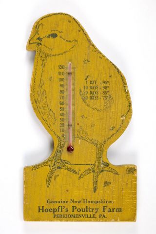 Early 1900s Wood Advertising Thermometer Hoepfl 