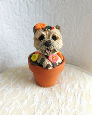 Cairn Terrier In The Flower Pot Sculpture Clay By Raquel Thewrc Ooak