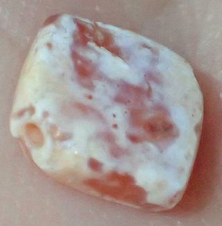 7mm Ancient Syrian Etched Carnelian Agate Bead,  4000,  Years Old,  S860