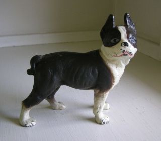 Antique Vindex Toys Boston Bull Terrier Cast Iron Still Dog Bank
