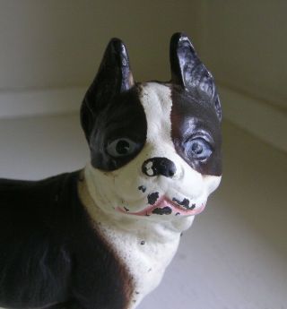 Antique VINDEX Toys Boston Bull Terrier Cast Iron Still Dog Bank 2