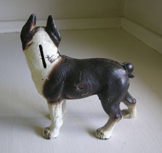 Antique VINDEX Toys Boston Bull Terrier Cast Iron Still Dog Bank 3