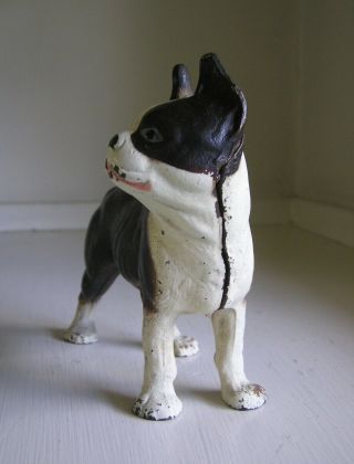 Antique VINDEX Toys Boston Bull Terrier Cast Iron Still Dog Bank 4