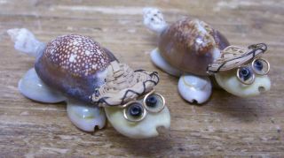 2 Seashell Ocean Shell Turtle Mini Miniature Doll House Figurine Figural