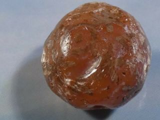 Ancient Pyu - Kushan Etched Agate Carnelian Rare Color Design Tab 15 By 10.  2 Mm