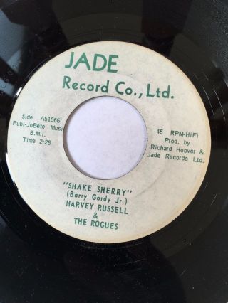Rare Ohio Garage 45/ Harvey Russell & Rogues " Shake Sherry " Very Hear