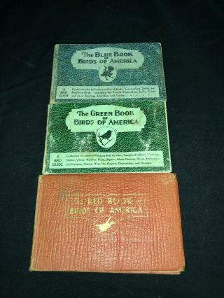 Whitman Publishing Birds Of America Blue Green Red Vintage