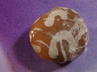 Ancient Pyu - Kushan Etched Agate Carnelian Rare Tab Pattern 11.  3 By 5.  6 Mm