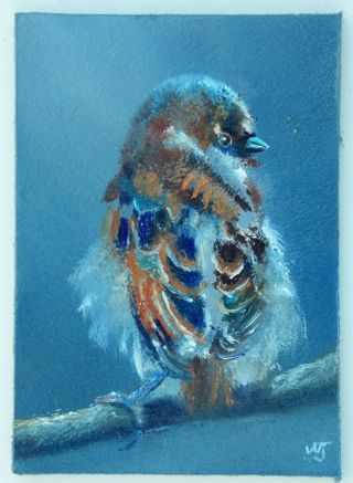 Aceo - William Jamison Miniature Oil Painting Juvenile Sparrow Bird