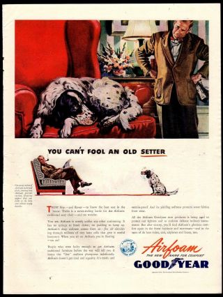 1944 English Setter Goodyear Airfoam Cushioning Ad Antique Advertising