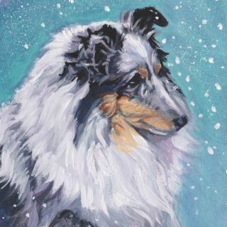 Blue Merle Shetland Sheepdog Sheltie Dog Art Canvas Print Of Painting 8x8 "