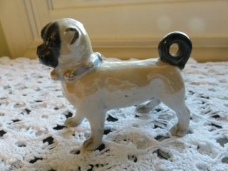 Antique Victorian Lustre Ware Porcelain Pug Dog Figurine Blue Collar Exc